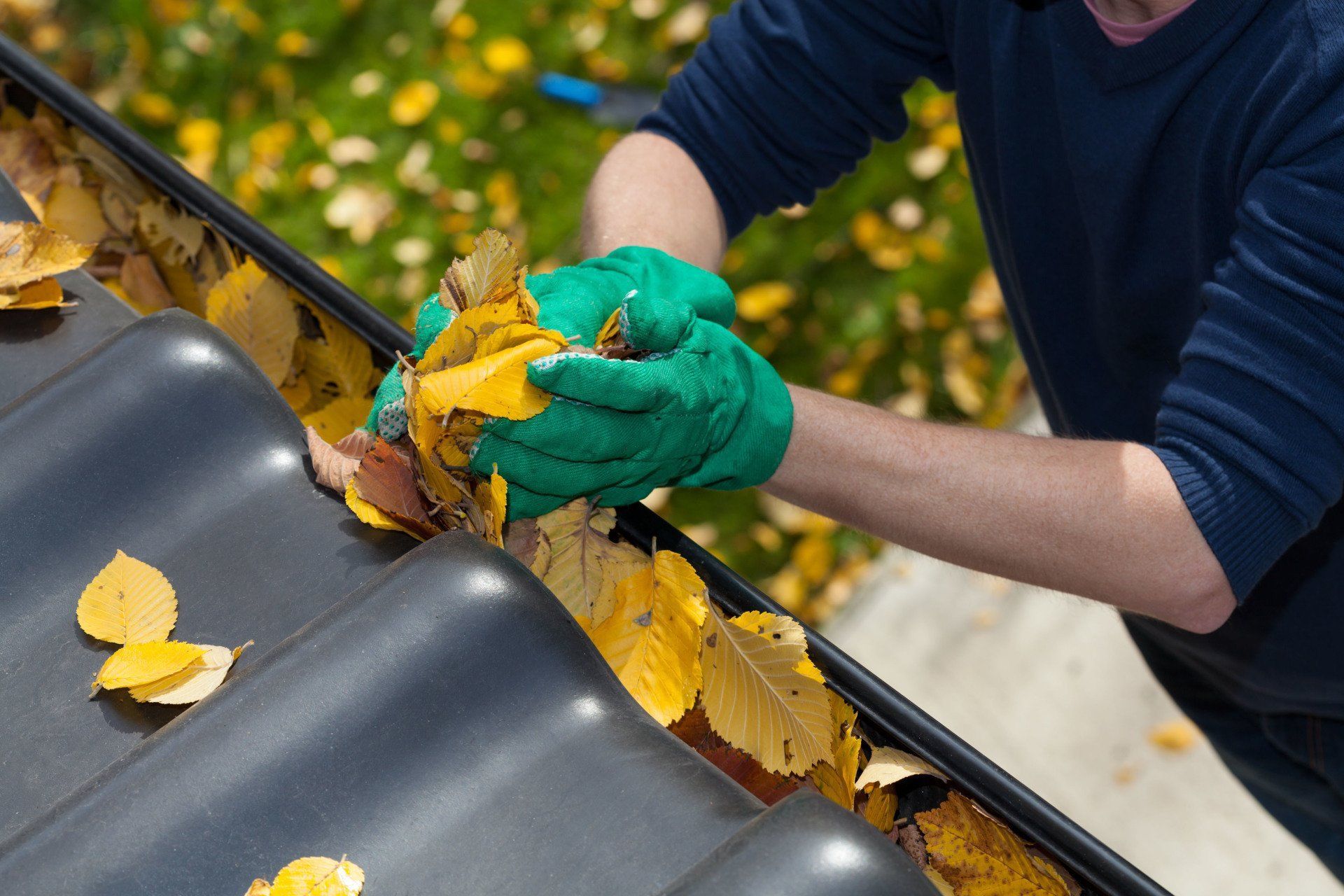 gutter cleaning